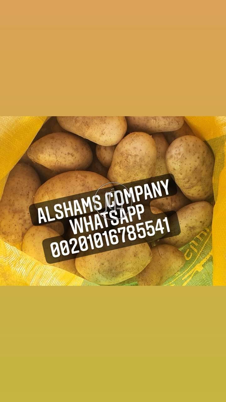 صور خدمات استيراد وتصدير في الكويت - دوّر.كوم