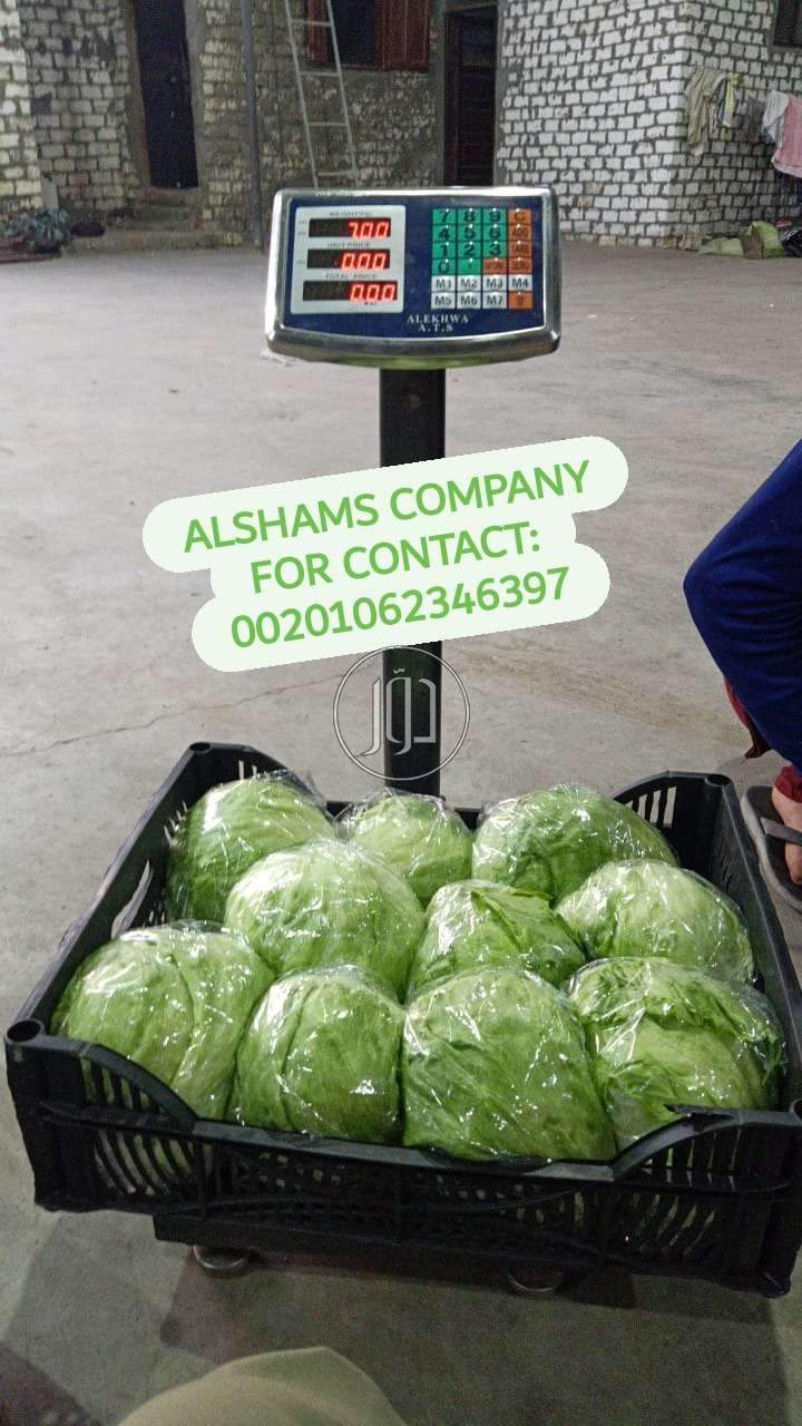 صور خدمات استيراد وتصدير في حولي - دوّر.كوم