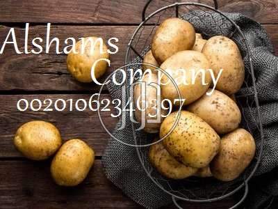 صور خدمات استيراد وتصدير في الجهراء - دوّر.كوم