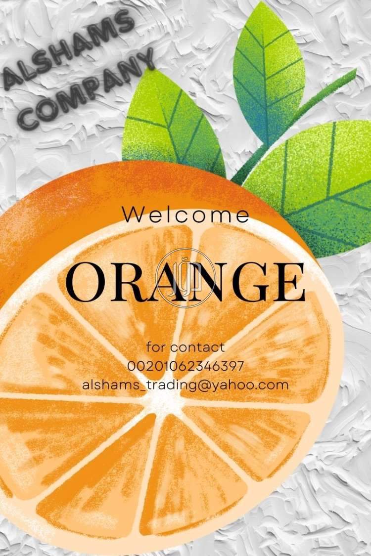 صور خدمات استيراد وتصدير في حولي - دوّر.كوم