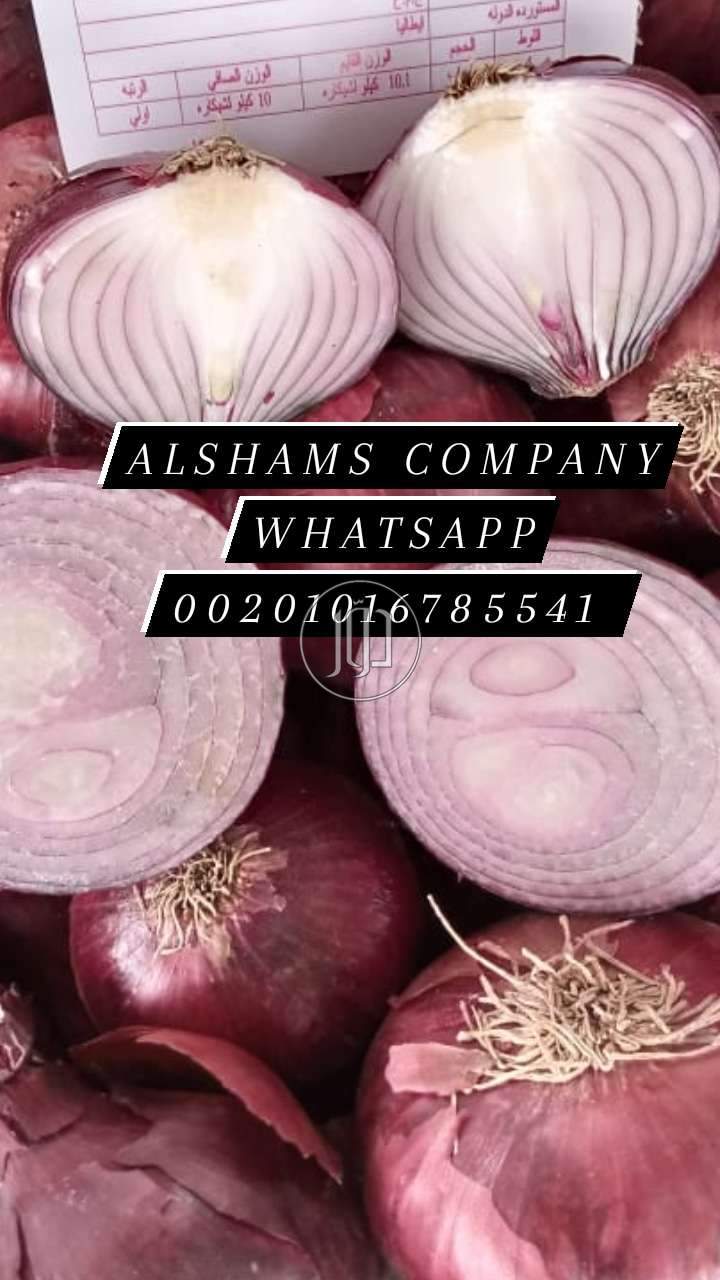 صور خدمات استيراد وتصدير في الكويت - دوّر.كوم