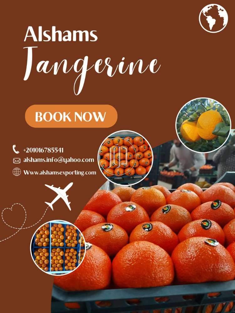 استيراد وتصدير في الكويت