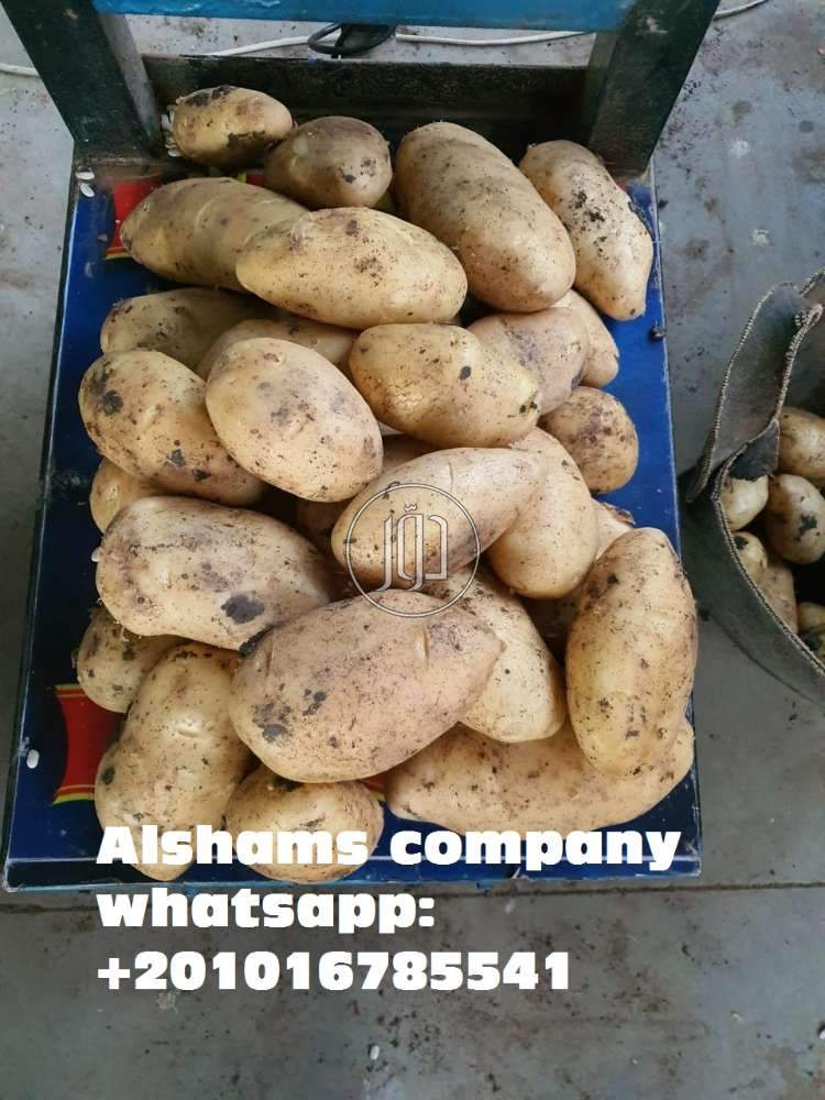 صور خدمات استيراد وتصدير في الكويت - دوّر.كوم