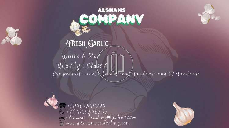 صور خدمات استيراد وتصدير في الجهراء - دوّر.كوم