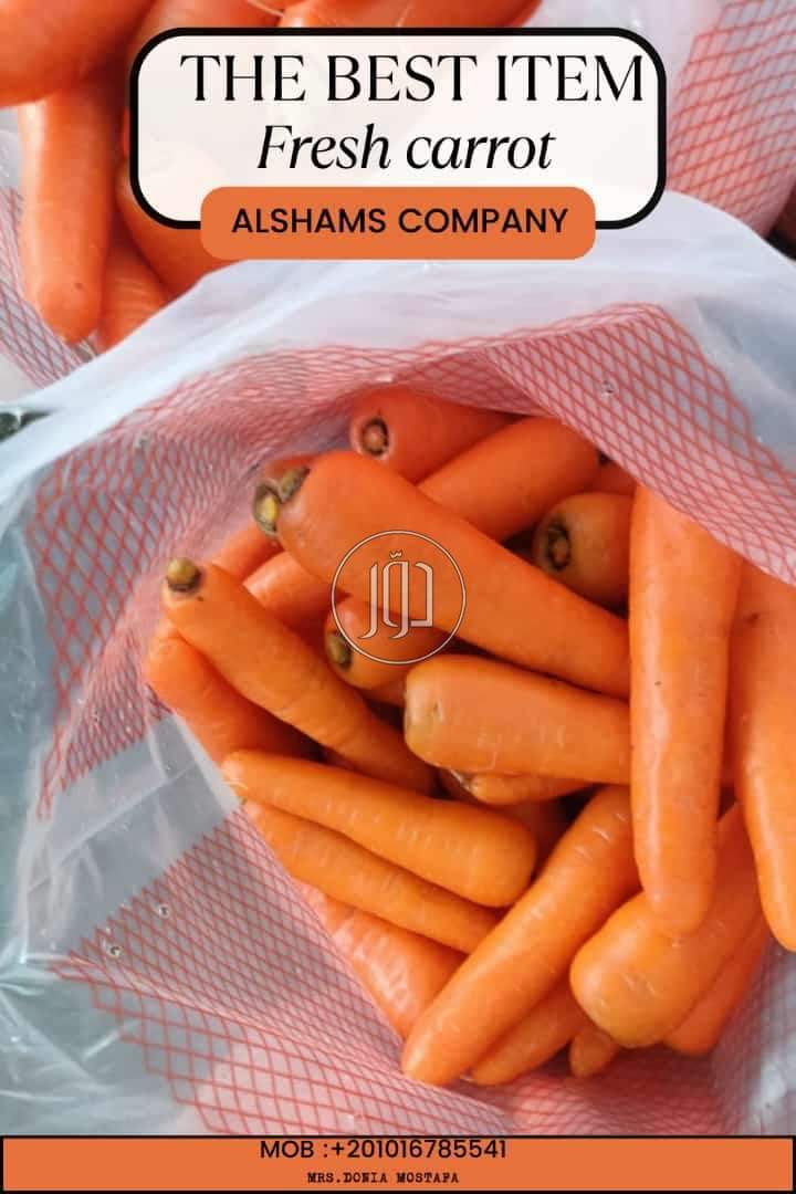 استيراد وتصدير في الكويت