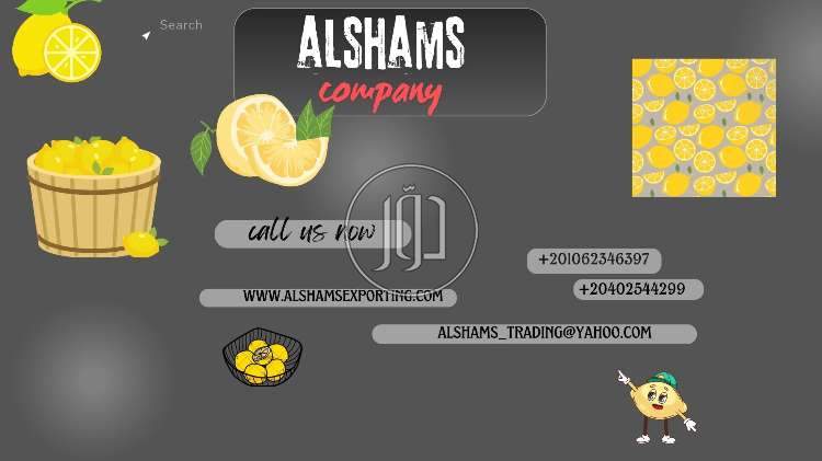 صور خدمات استيراد وتصدير في الفروانية - دوّر.كوم