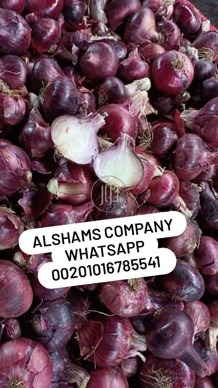 صور خدمات استيراد وتصدير في الكويت - دوّر.كوم