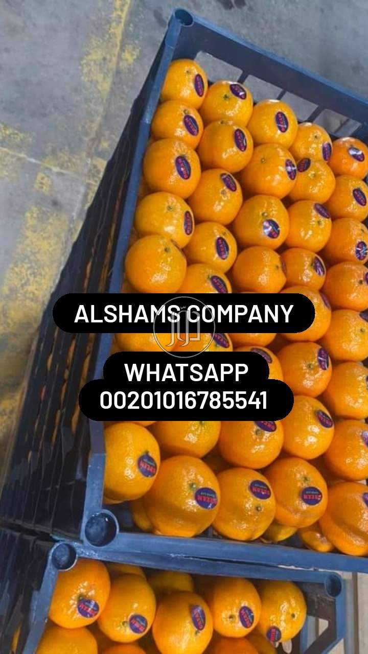 صور خدمات استيراد وتصدير في الكويت - دوّر.كوم