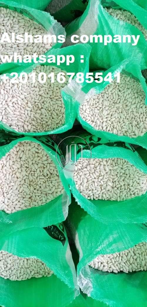 صور خدمات استيراد وتصدير في الكويت - دوّر.كوم