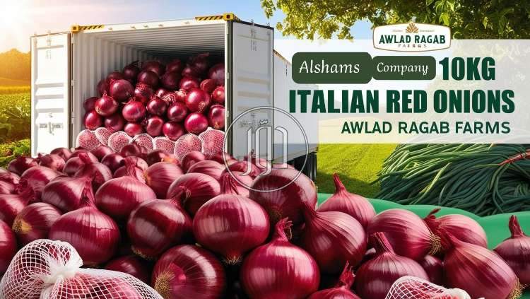 صور خدمات استيراد وتصدير في الكويت - دوّر.كوم