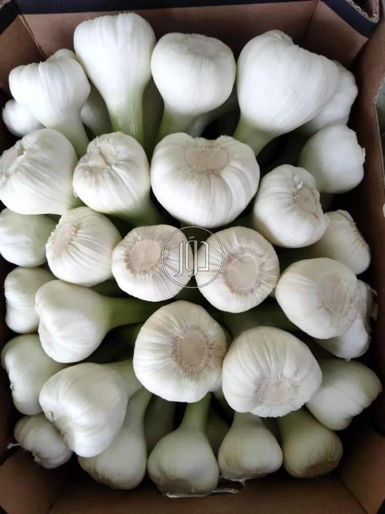 صور خدمات استيراد وتصدير في الكويت - دوّر.كوم