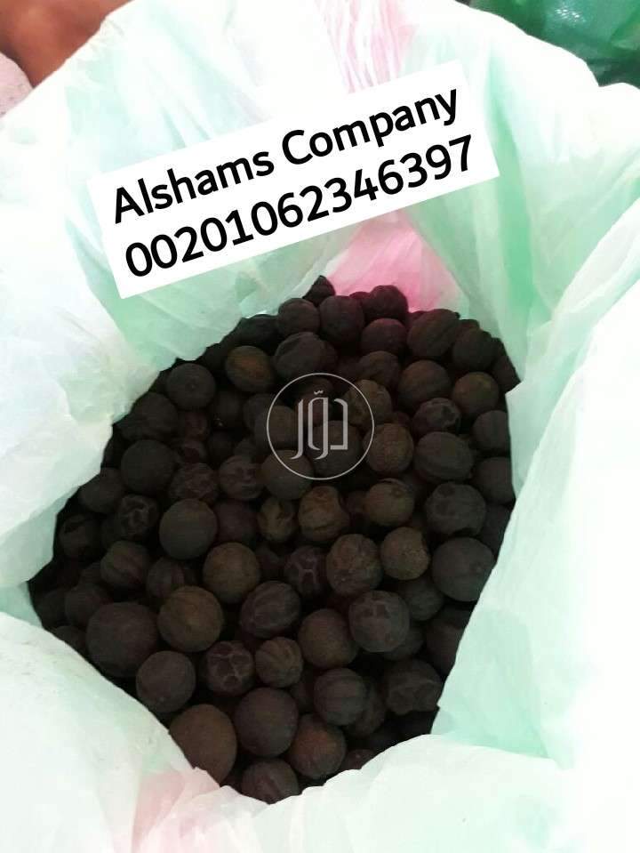 صور خدمات استيراد وتصدير في حولي - دوّر.كوم