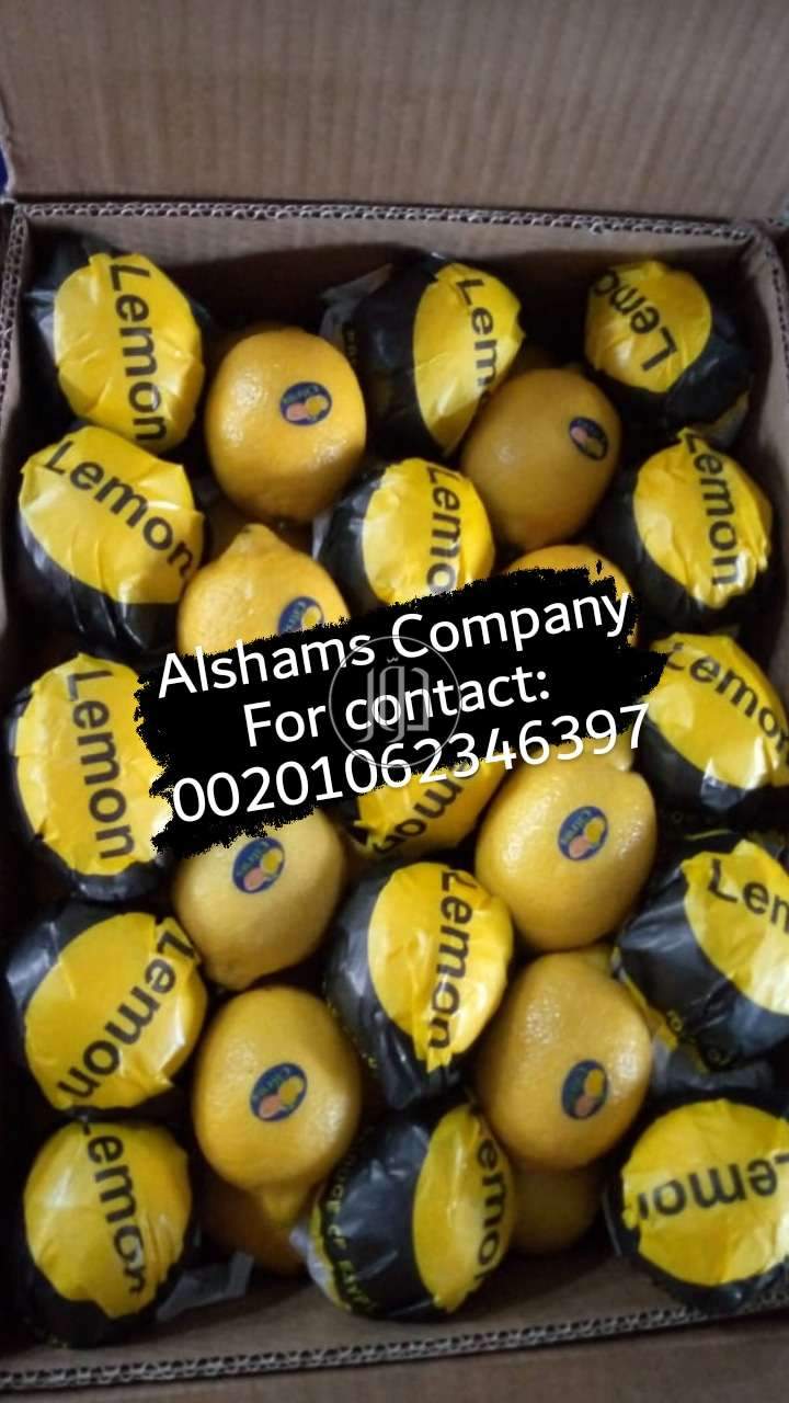 صور خدمات استيراد وتصدير في الأحمدي - دوّر.كوم