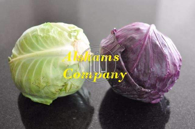 صور خدمات استيراد وتصدير في الأحمدي - دوّر.كوم