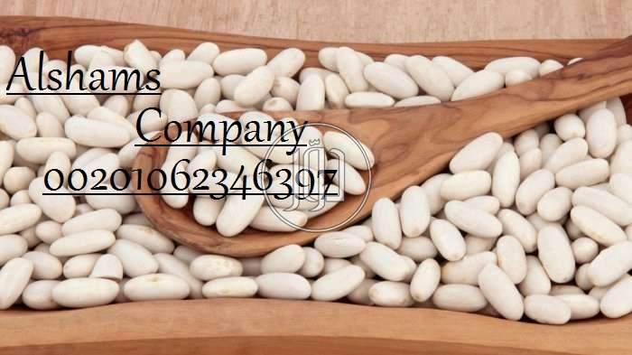 صور خدمات استيراد وتصدير في الأحمدي - دوّر.كوم