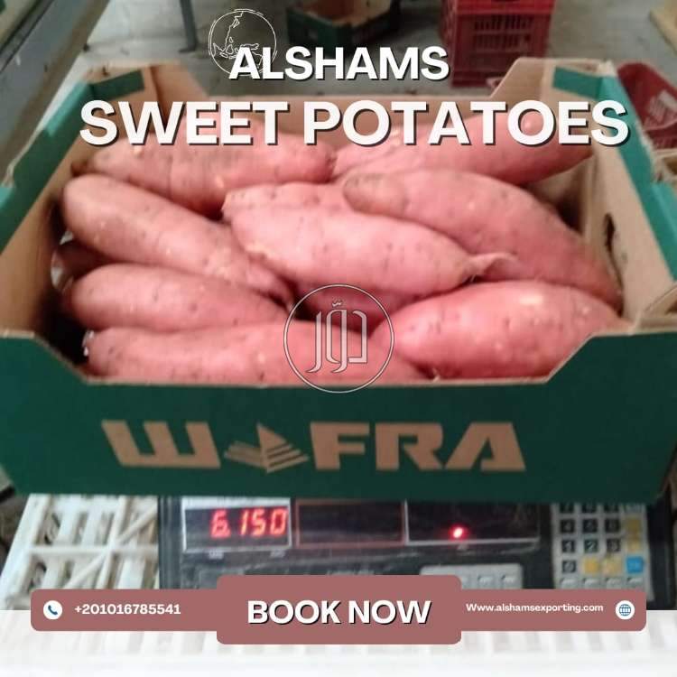 استيراد وتصدير في الكويت