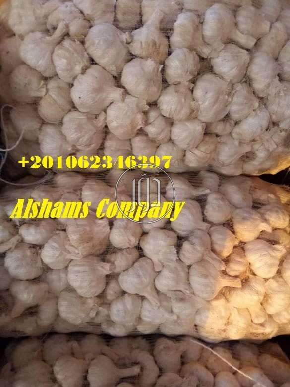 صور خدمات استيراد وتصدير في الجهراء - دوّر.كوم