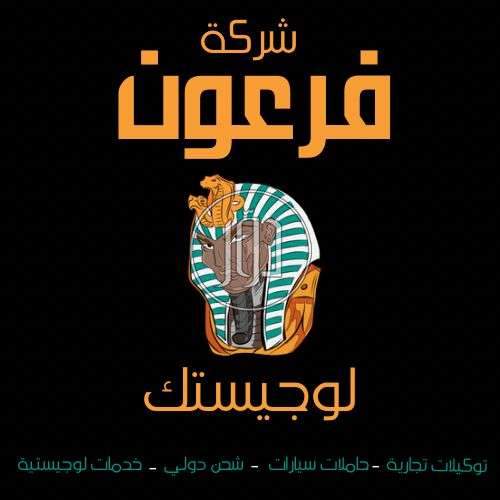 صور خدمات استيراد وتصدير في مصر - دوّر.كوم