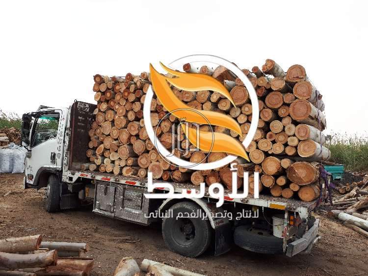 حطب للتصدير - حطب لاغراض الطهي والتدفئة للتصدير
