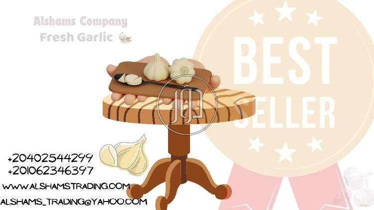 صور خدمات تجارية في الجوف - دوّر.كوم