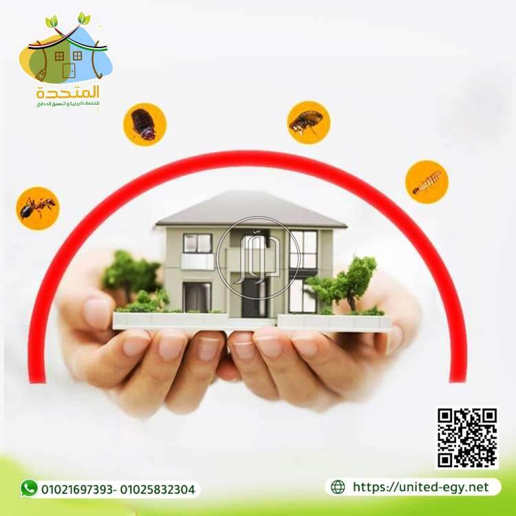 صور خدمات تجارية في مصر - دوّر.كوم