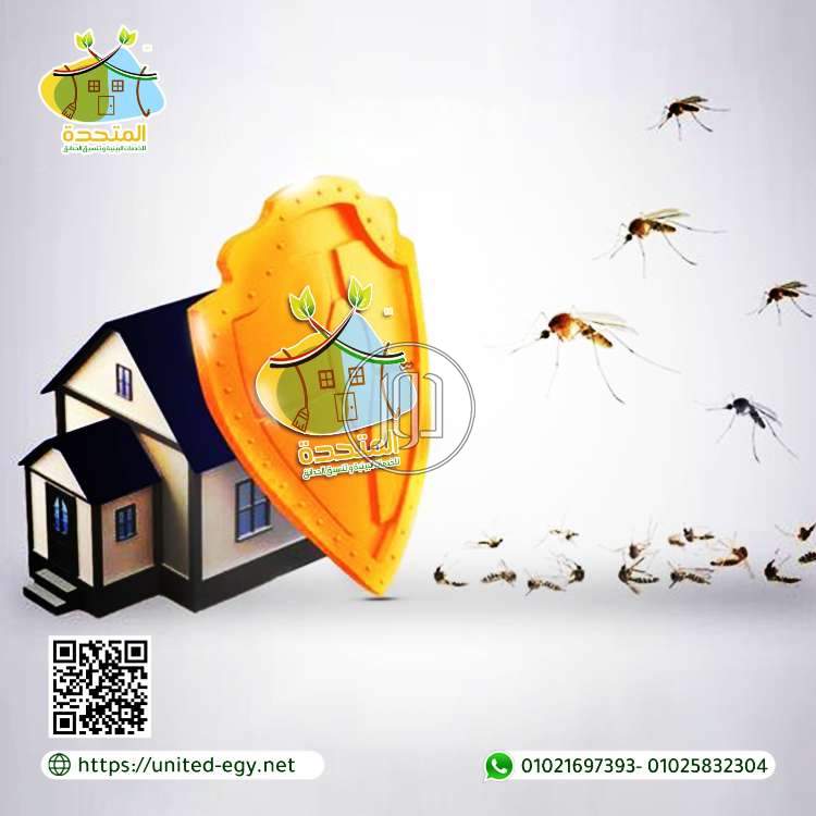 صور خدمات تجارية في مصر - دوّر.كوم