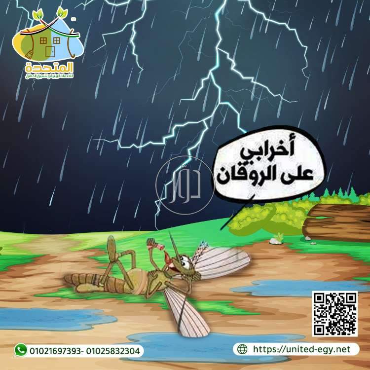 صور خدمات تجارية في مصر - دوّر.كوم