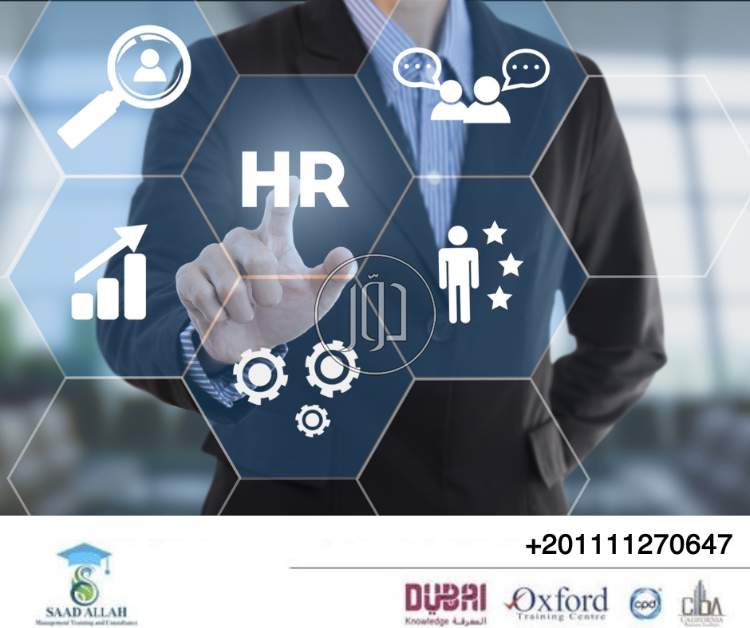 صور خدمات تعليمية في مصر - دوّر.كوم