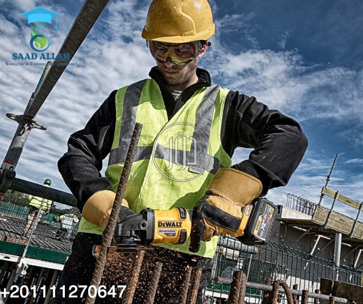 صور خدمات تعليمية في القاهرة - دوّر.كوم