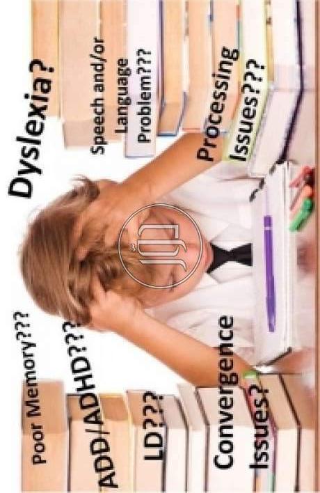 صور خدمات تعليمية في القاهرة - دوّر.كوم