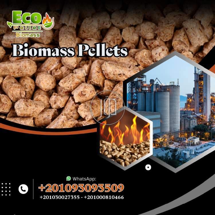 الوود بيليت