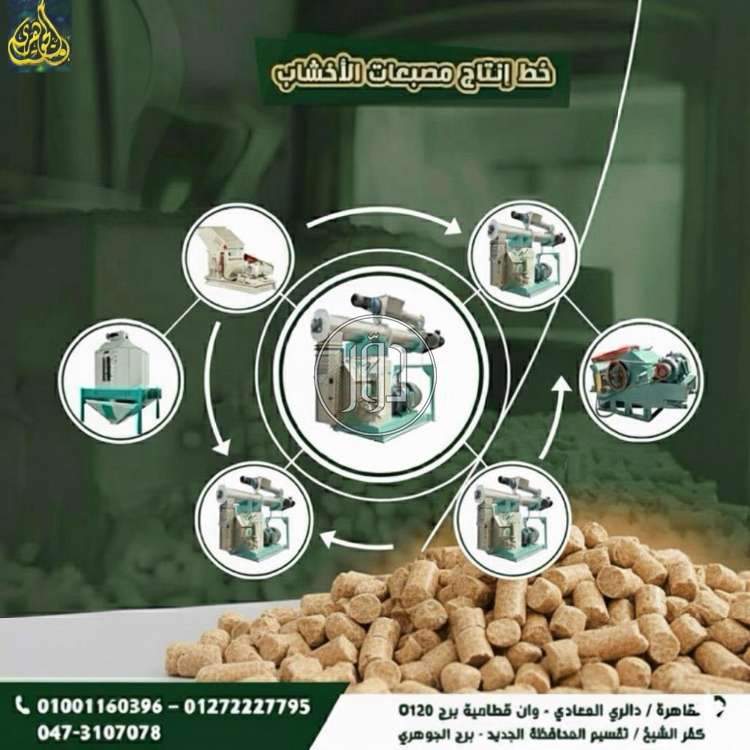 دعاية واعلان في مصر - دوّر.كوم