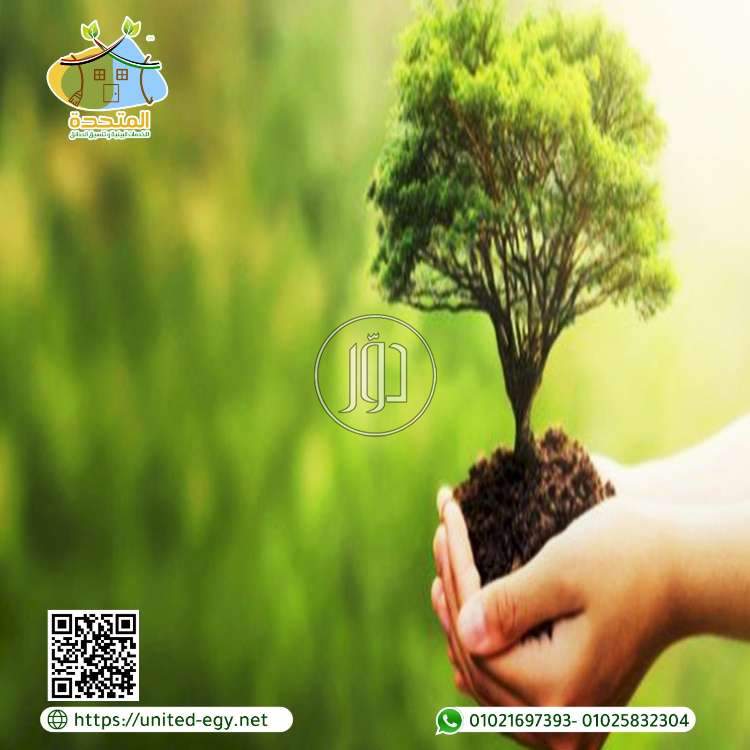 صور خدمات دعاية واعلان في مصر - دوّر.كوم