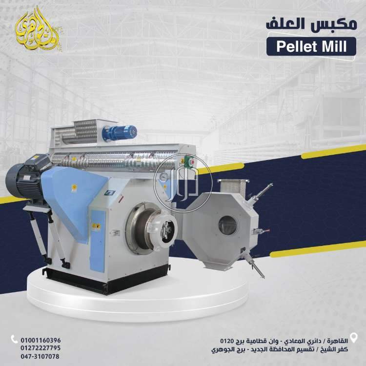 دعاية واعلان في مصر - دوّر.كوم