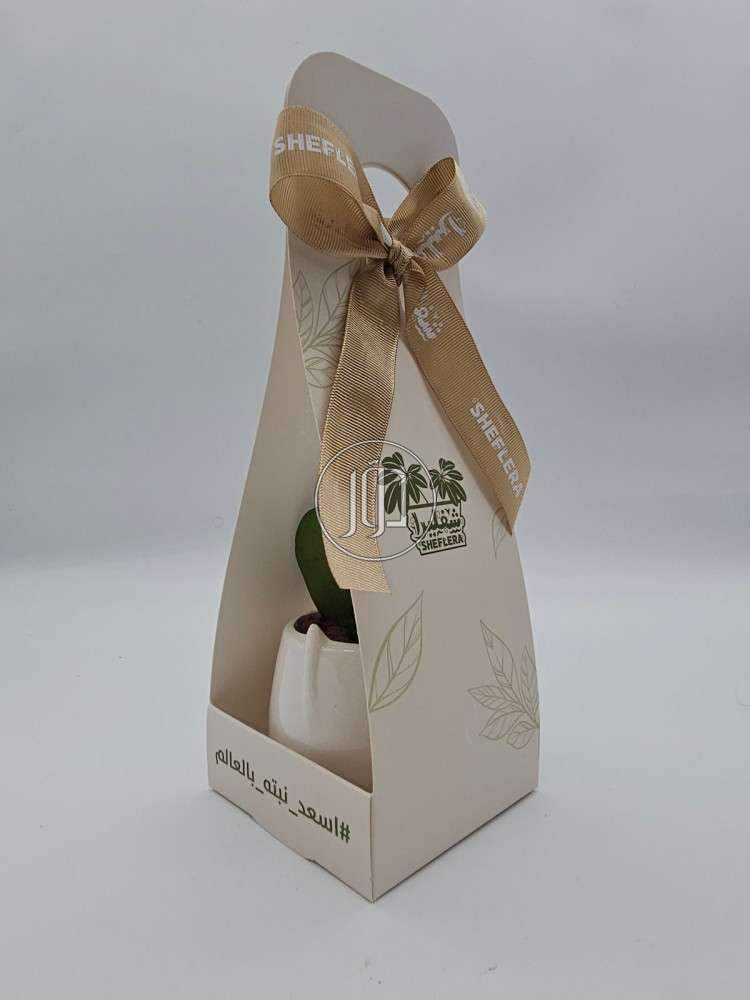 صور خدمات ديكور وتشطيبات في السعودية - دوّر.كوم