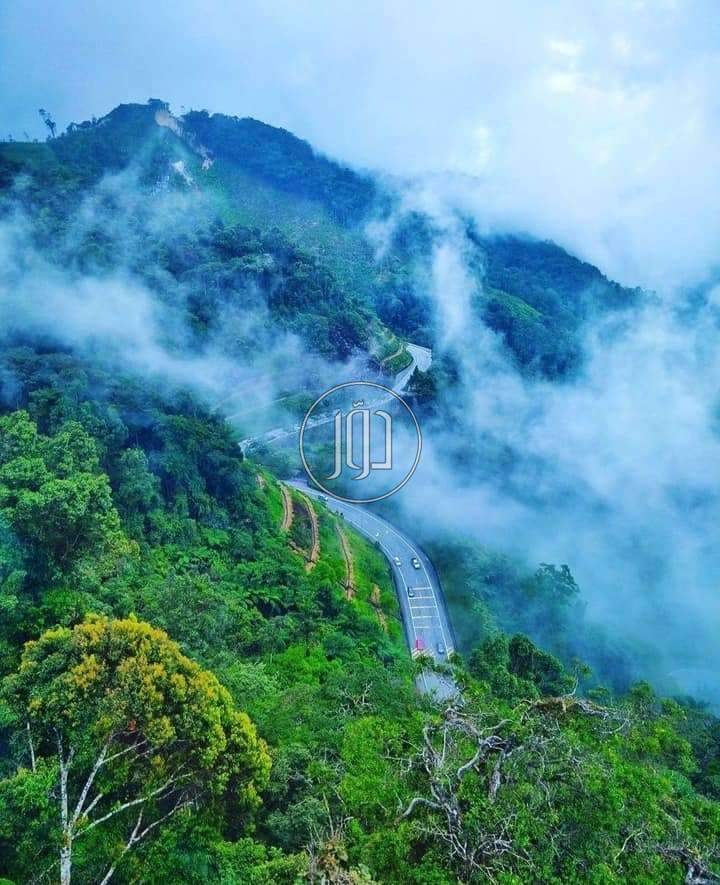 صور خدمات سياحية في السعودية - دوّر.كوم