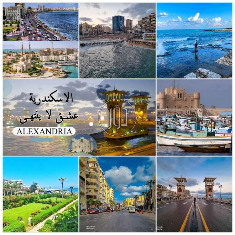 صور خدمات ترفيهية في القاهرة - دوّر.كوم