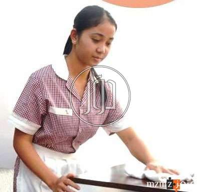 صور خدمات سياحية في مصر - دوّر.كوم