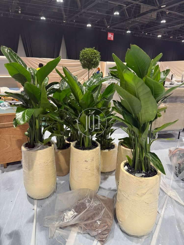 شحن وتوصيل في الامارات