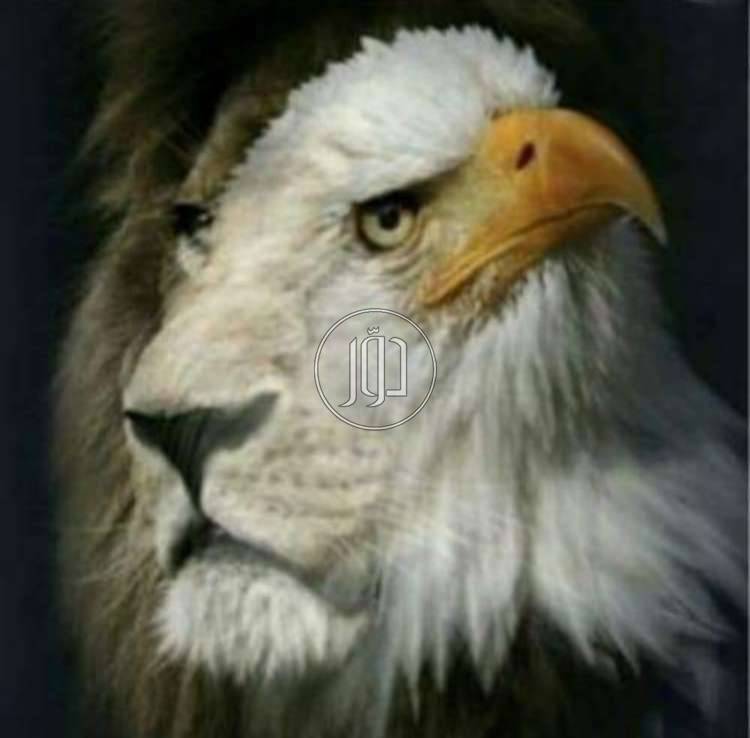 صور خدمات صحية في الامارات - دوّر.كوم