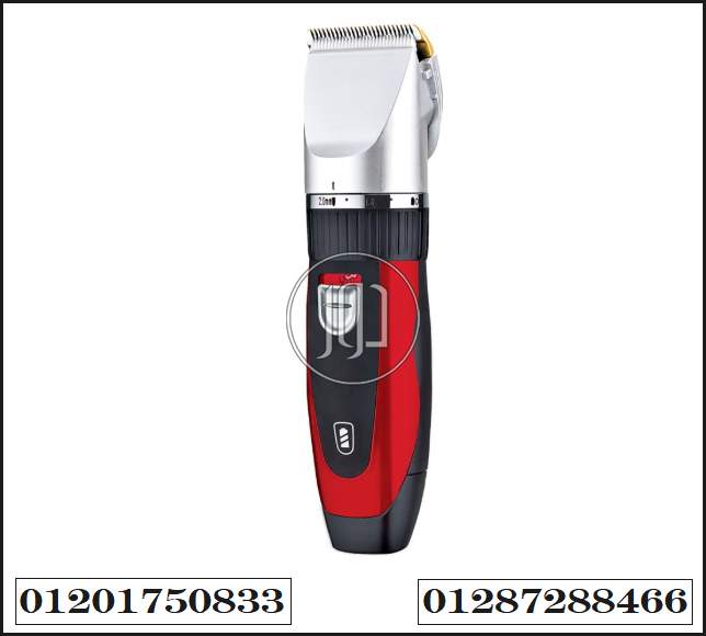 صور خدمات صحية في القاهرة - دوّر.كوم