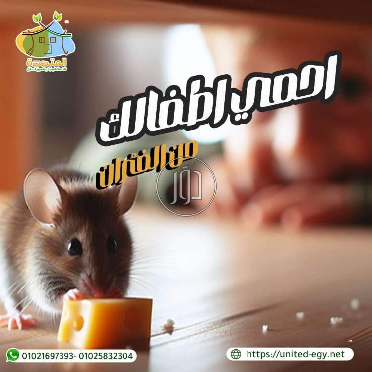 صور خدمات صيانة واصلاح في مصر - دوّر.كوم