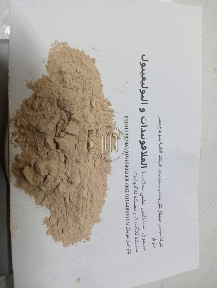 صور خدمات صيدلية في مصر - دوّر.كوم