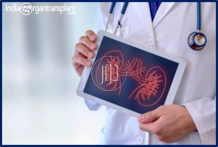 صور خدمات طبية في أبو ظبي - دوّر.كوم