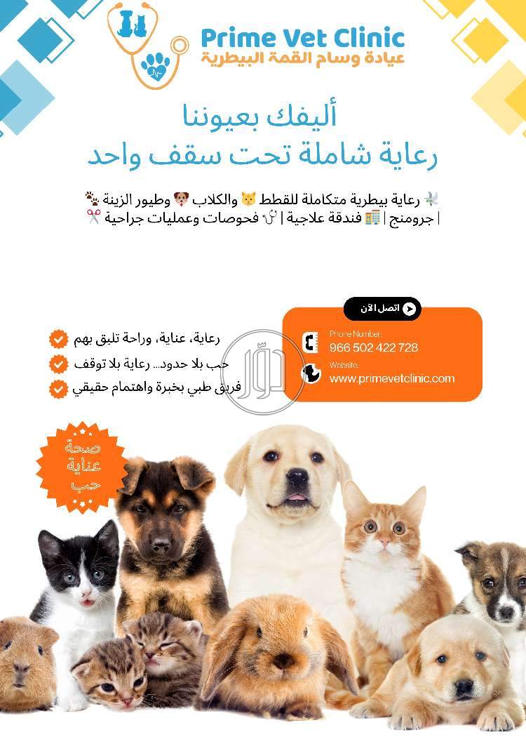 صور خدمات طبية في السعودية - دوّر.كوم