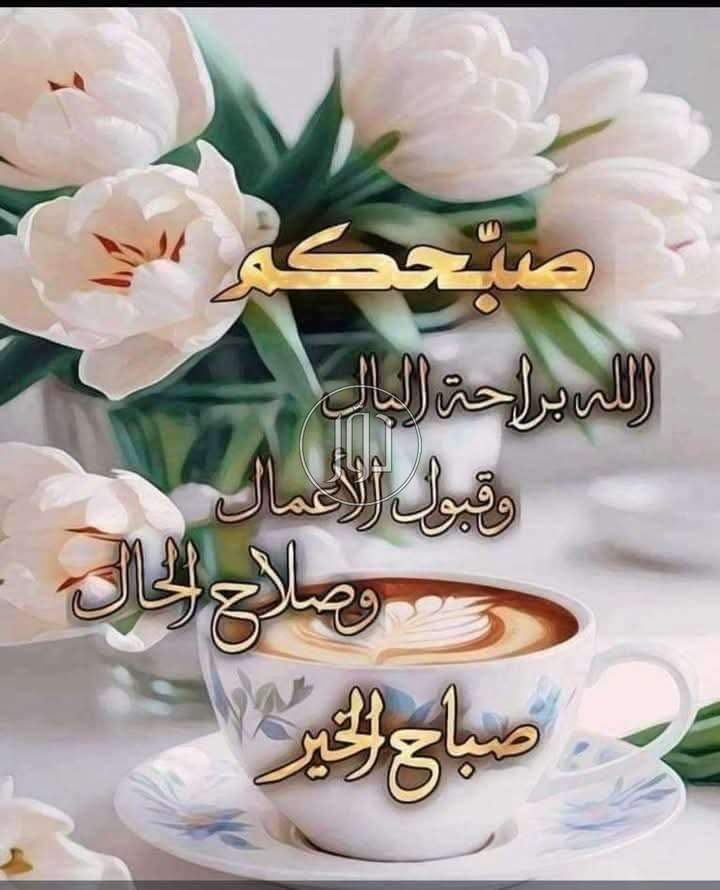 صور خدمات عقارية في الإسكندرية - دوّر.كوم