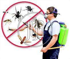 صور خدمات منزلية في السويس - دوّر.كوم