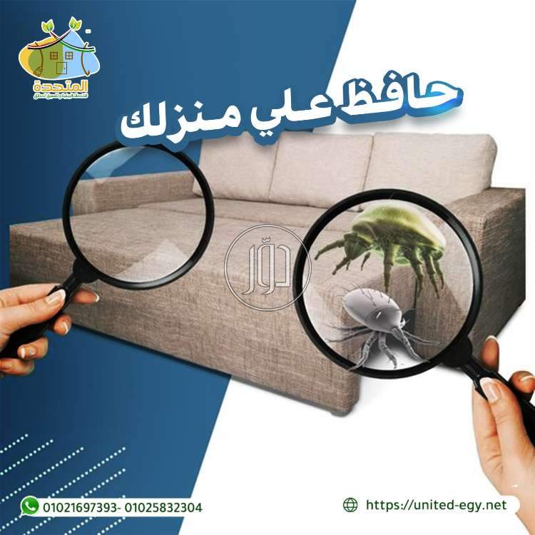 صور خدمات منزلية في مصر - دوّر.كوم