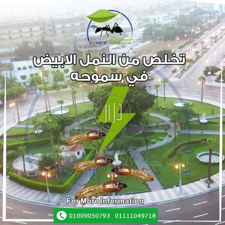 صور خدمات منزلية في الجيزة - دوّر.كوم