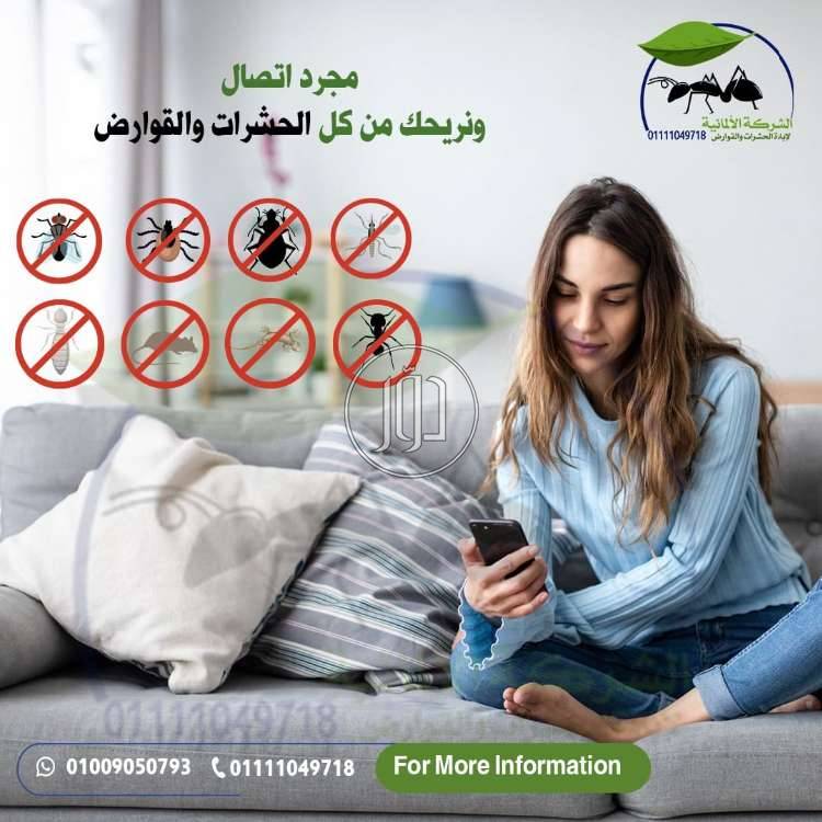 صور خدمات منزلية في الإسكندرية - دوّر.كوم